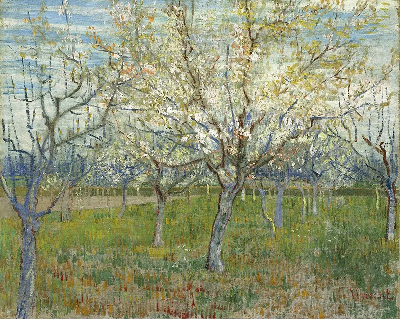 The White Orchard