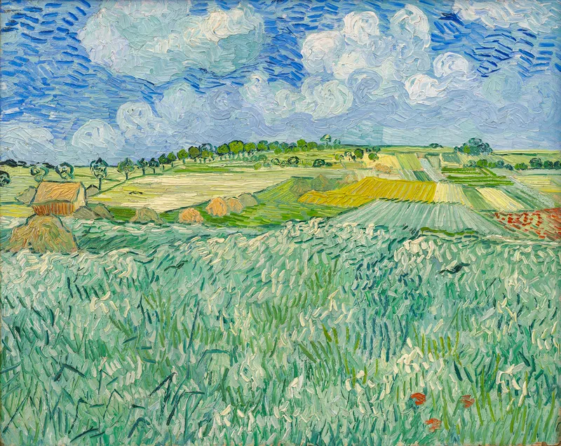 The plain with farm near Auvers