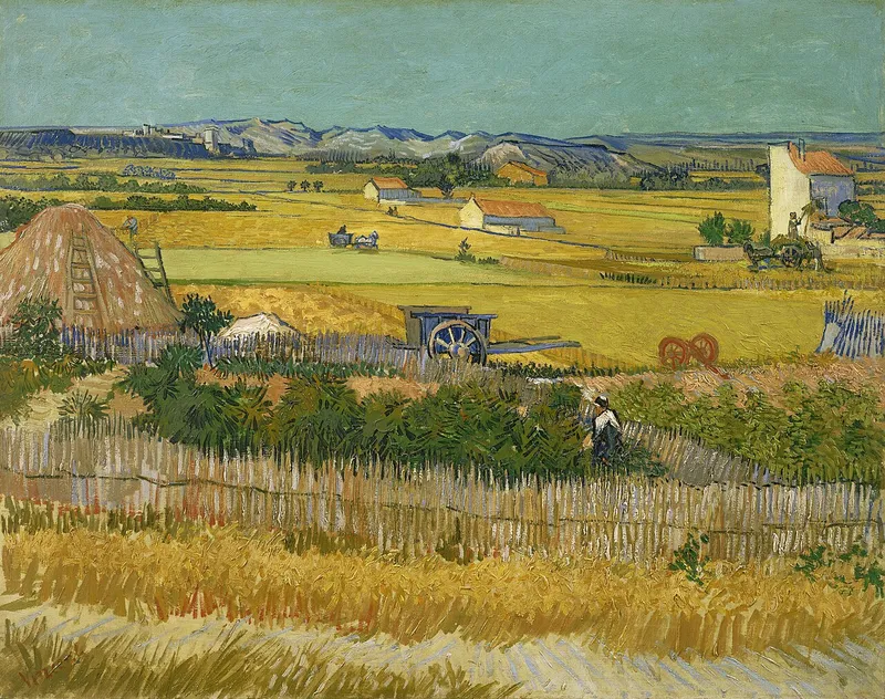 Harvest at La Crau