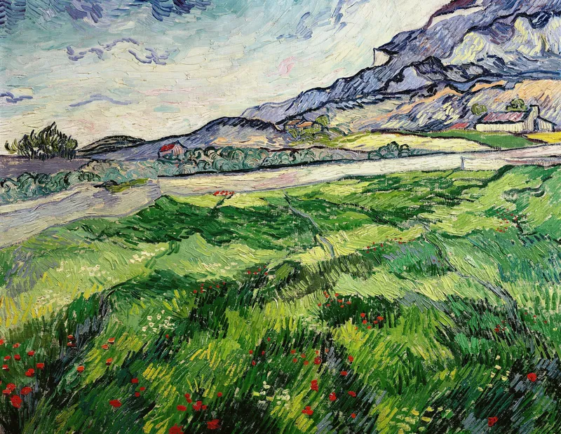 The green wheatfield behind the asylum