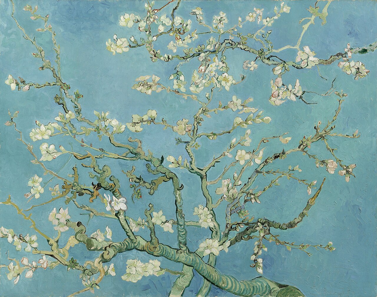 Vincent van Gogh, Almond Blossom, 1890, Saint-Rémy-de-Provence