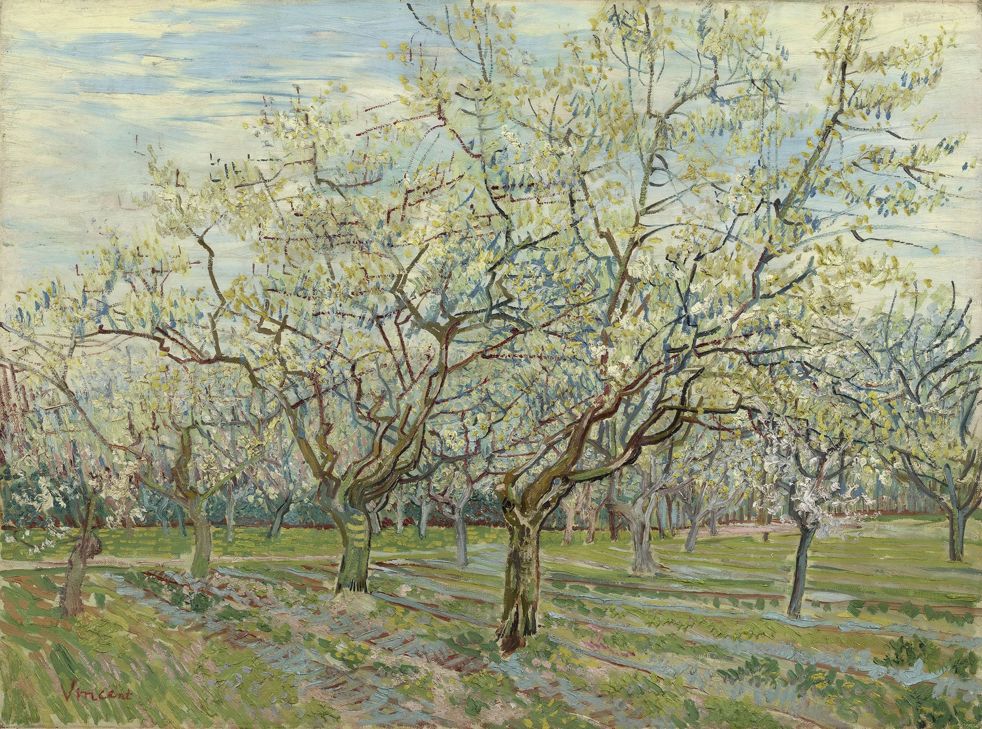 文森特·梵高，《The Pink Orchard》，1888，Arles